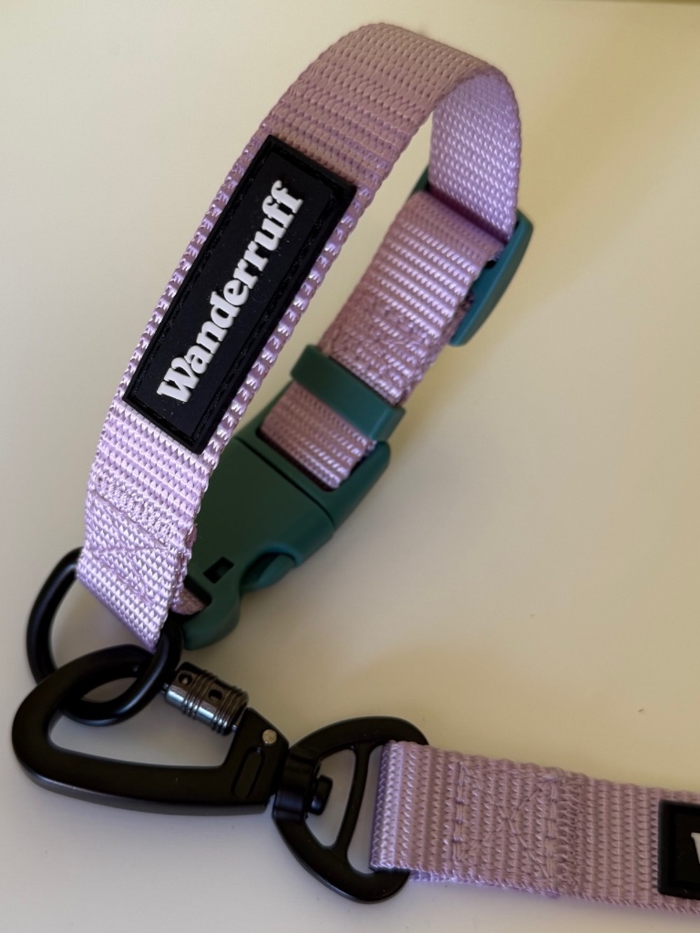 Eco-friendly dog collar & leash